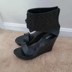 Torrid Wedges